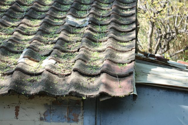 Photo by CH L A bird sitting on top of a roof next to a building