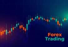 The Role and Importance of Discipline in Forex Trading