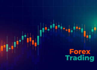 The Role and Importance of Discipline in Forex Trading