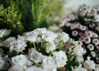 High-End Floral Arrangements That Wow Any Audience white roses in tilt shift lens
