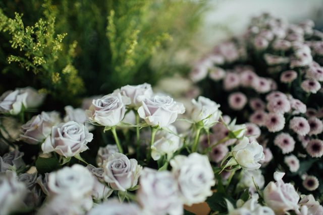 Photo by Hanson Lu white roses in tilt shift lens