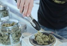 Weed Delivery Services: Convenience at Your Doorstep person holding grey tongs and kush