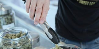 person holding grey tongs and kush