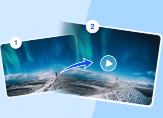 Vidwud AI: An Amazing Tool To Transform Your Visual Content Creation IMG_256