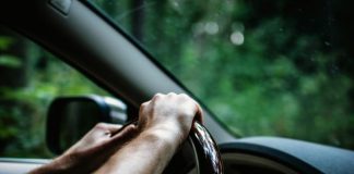 person holding car steering wheel