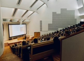 people sitting on chair in front of computer