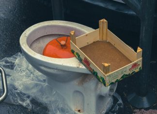 Why Professional Toilet Repair is Essential for Every Home img