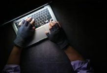 5 Tips Businesses Should Follow to Safeguard Against Data Breach person in black long sleeve shirt using macbook pro