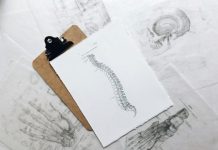 How Can a Chiropractor Strengthen Your Personal Injury Case? brown and black clipboard with white spinal cord print manual