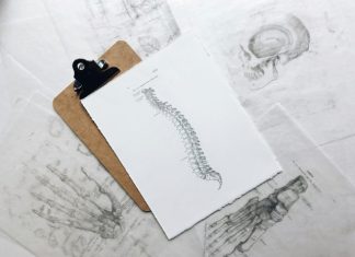 How Can a Chiropractor Strengthen Your Personal Injury Case? brown and black clipboard with white spinal cord print manual