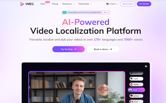 VMEG AI Overview