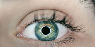 person showing green and black eyelid closeup photography