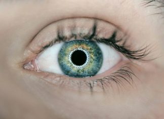 person showing green and black eyelid closeup photography