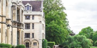 person walking on concrete road beside brown concrete house near green high trees under white sky during daytime