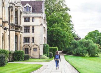Key Facts Reviews Reveal About Top International Schools in Rosenberg person walking on concrete road beside brown concrete house near green high trees under white sky during daytime