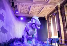 Dinosaur exhibit illuminated with purple light