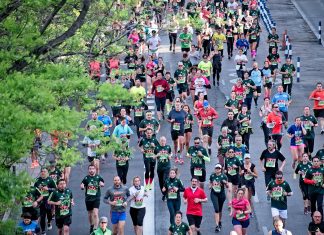 people walking on street during daytime