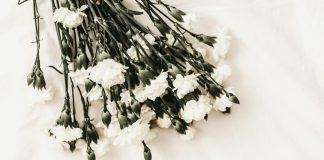 white flower on white surface