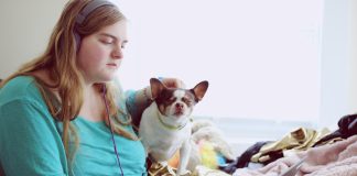girl in blue jacket holding white and brown short coated puppy
