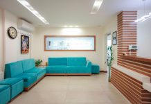 blue couch beside green potted plant