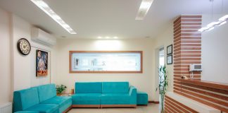 blue couch beside green potted plant