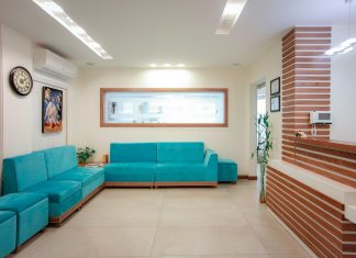 blue couch beside green potted plant