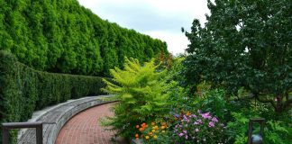 a brick path with a garden of flowers and trees