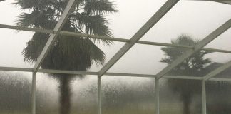 a swimming pool with a view of a palm tree