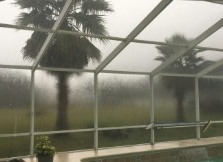 a swimming pool with a view of a palm tree