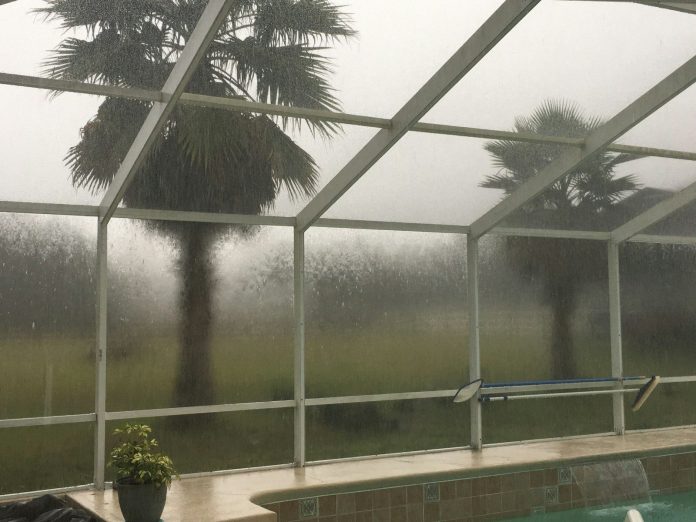 Photo by Darla Bethea a swimming pool with a view of a palm tree