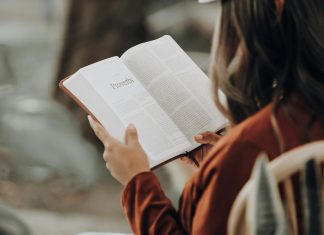 girl reading book