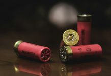 How Novelty Shotgun Shells Add Fun for Recreational Shooters red and gold shotgun shells