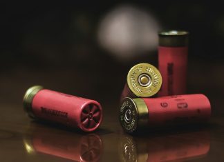 How Novelty Shotgun Shells Add Fun for Recreational Shooters red and gold shotgun shells