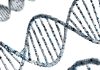 a double strand of blue and white spirals