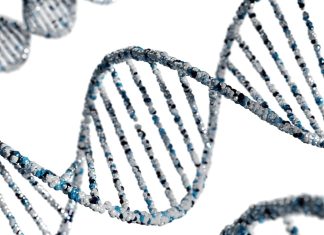 The Secrets of Your Family in Your DNA Test a double strand of blue and white spirals