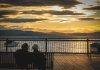 Can’t Afford Your Life Insurance Anymore? Here Are Your Options