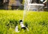 Water-Wise Landscaping Starts With the Right Plumbing Plan green glass bottle on green grass during daytime