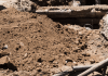 What Are The Risks of Ignoring Erosion Control Construction on Job Sites