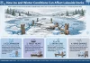 How Ice and Winter Conditions Can Affect Lakeside Docks