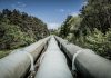 Pipeline Pigs vs. Smart Pigs: Two Jobs, One Pipe a train traveling through a forest filled with lots of trees