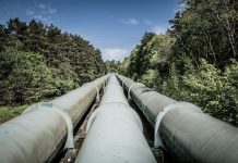 Pipeline Pigs vs. Smart Pigs: Two Jobs, One Pipe a train traveling through a forest filled with lots of trees